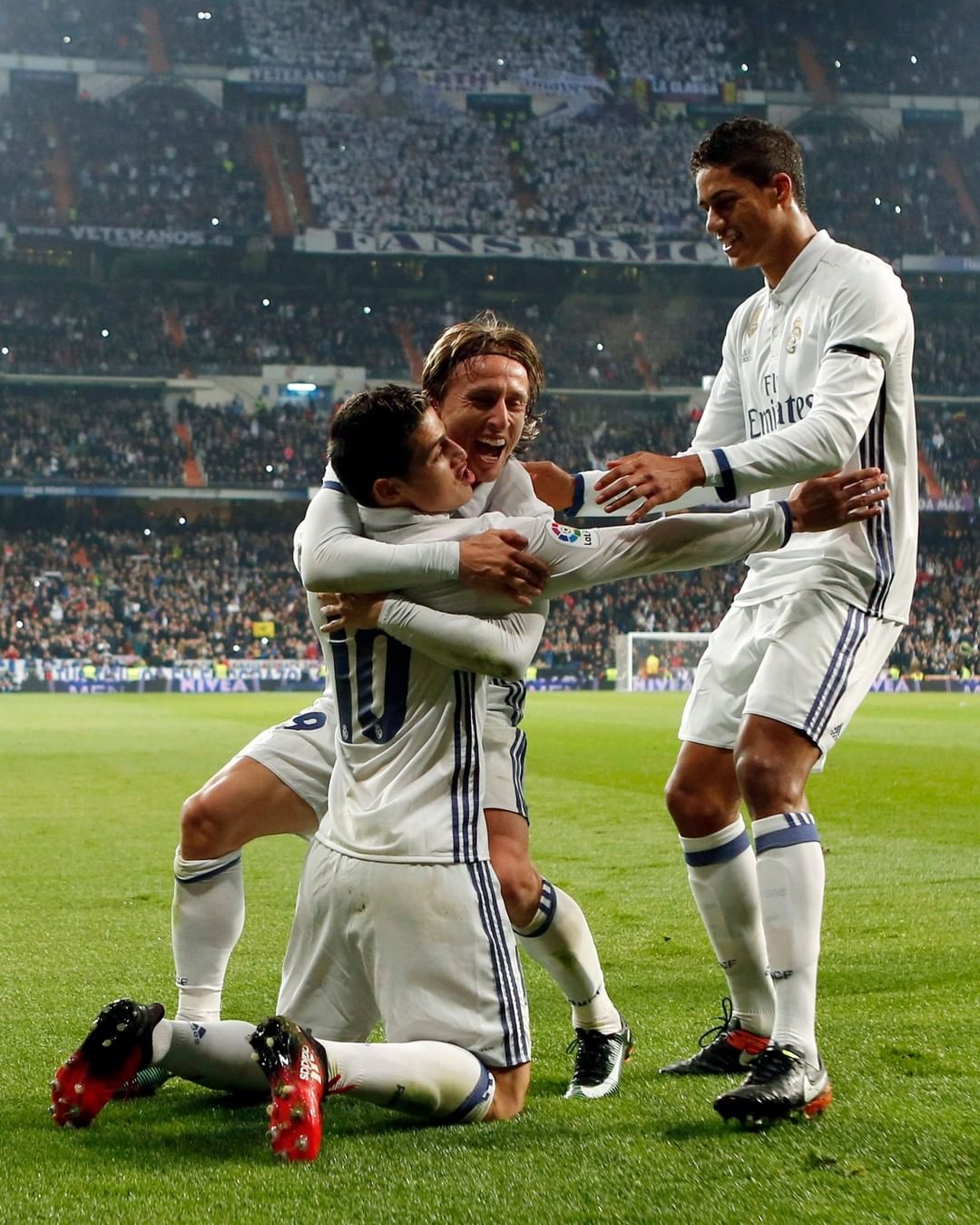 雄鹿的绝对 雄鹿的绝对